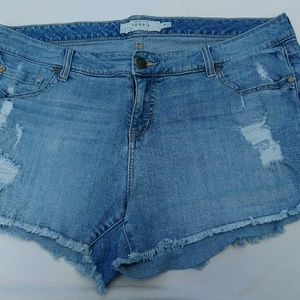 Torrid shorts